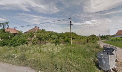 Baćevac - Ekonomija