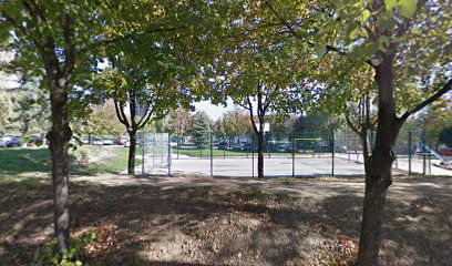 Sony Playstation Store Online