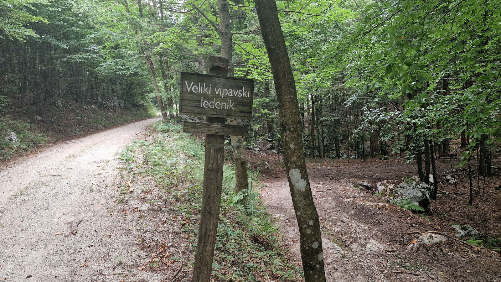 Veliki trški ledenik