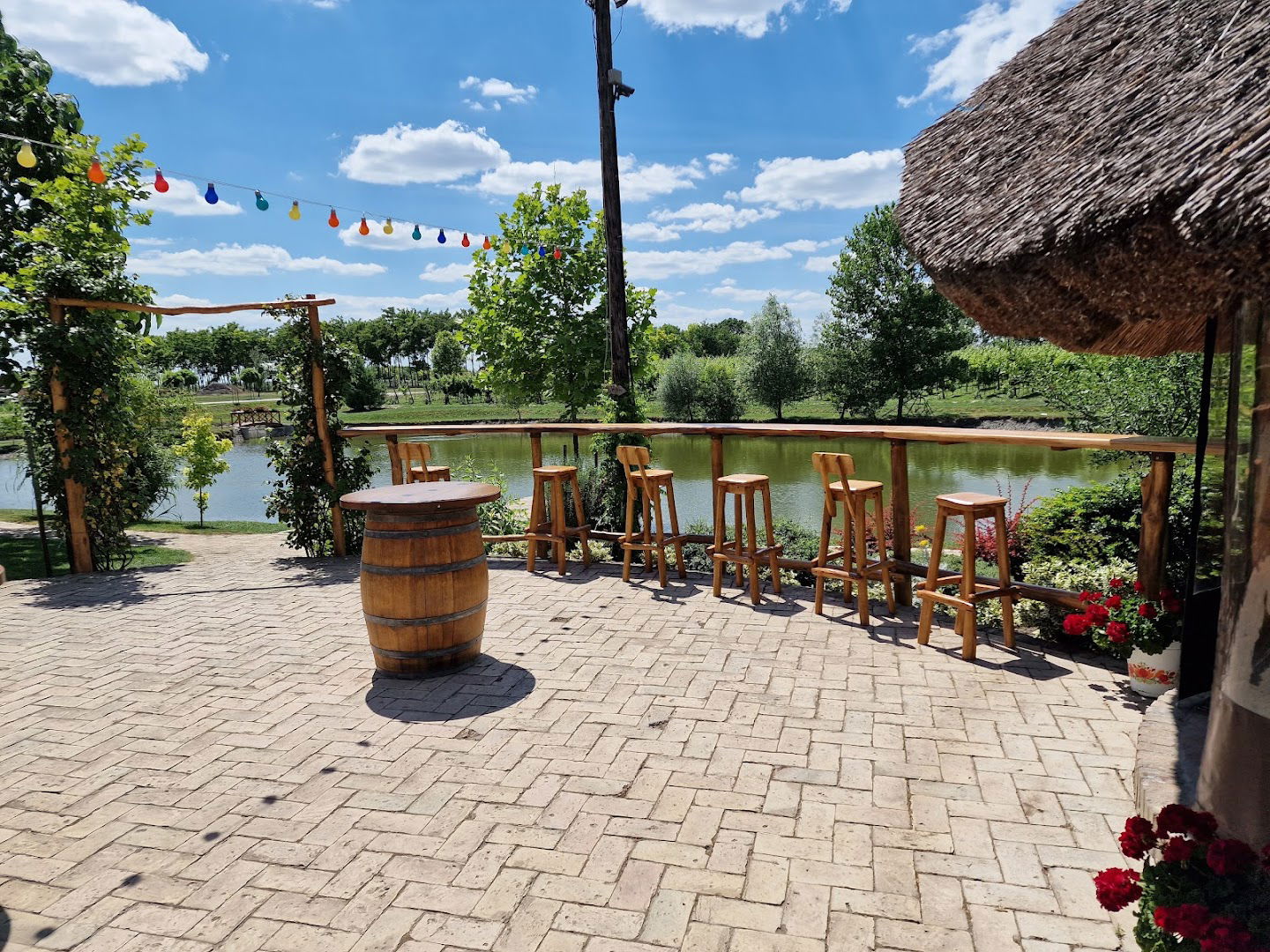 Salaš na obali jezera - Tóparti tanya