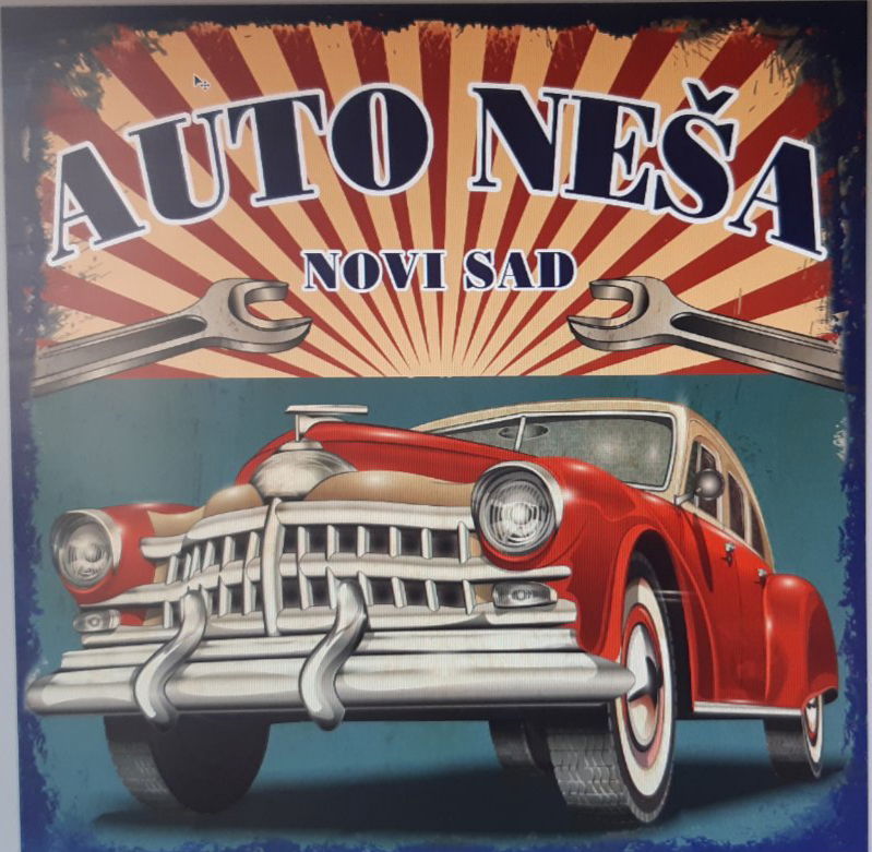 Auto Nesa