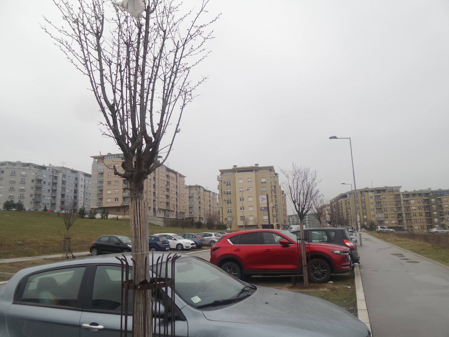 Pukovnika Petra Mišića