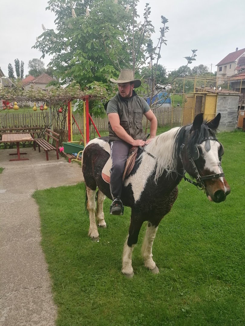 Ергела Јовичић