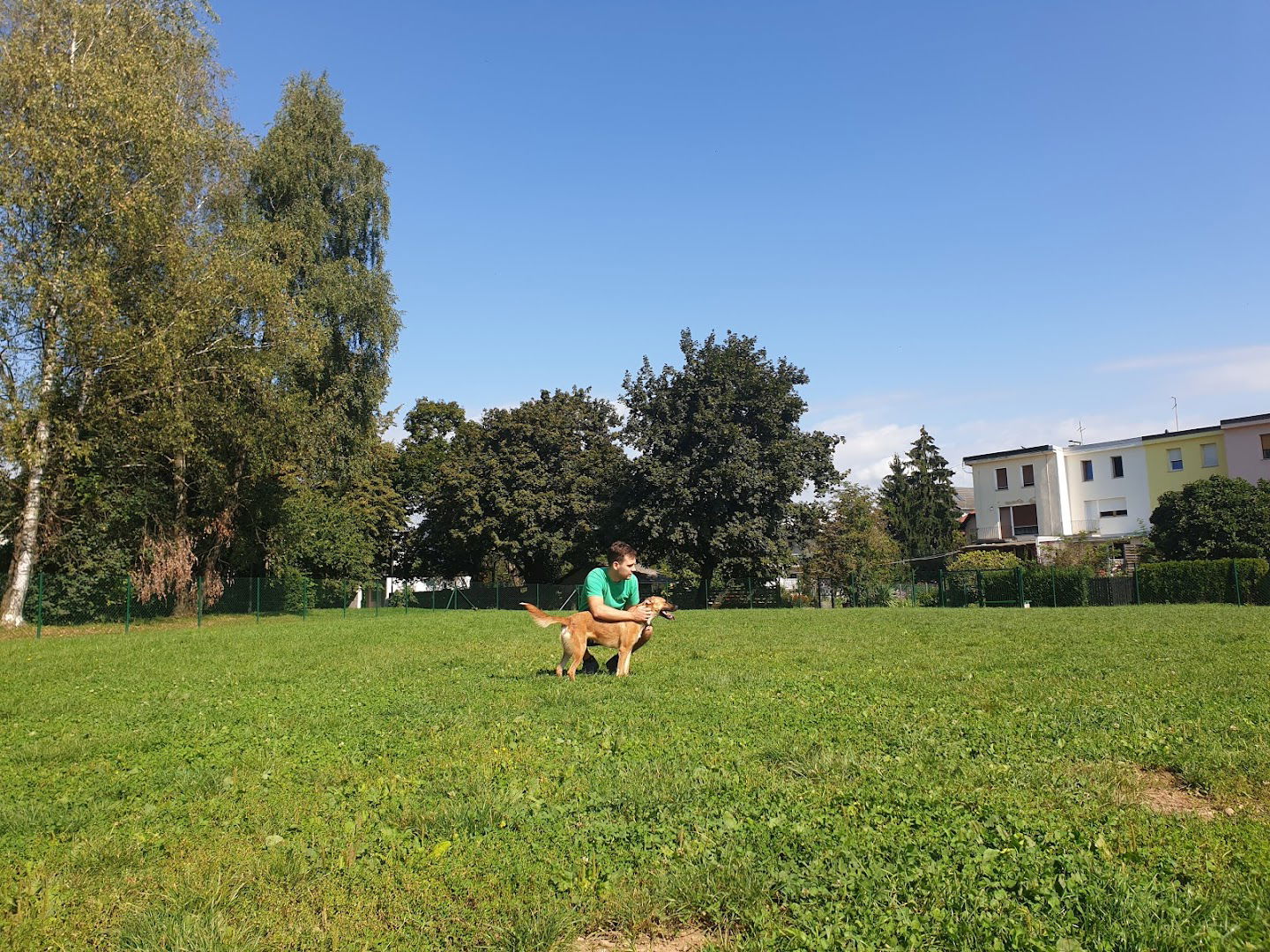 Dog park Koseze