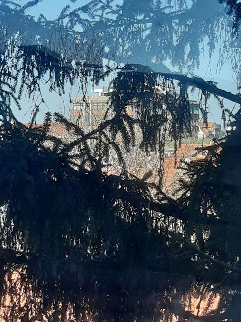 Апотека "Проф. Синиша Ђаја"