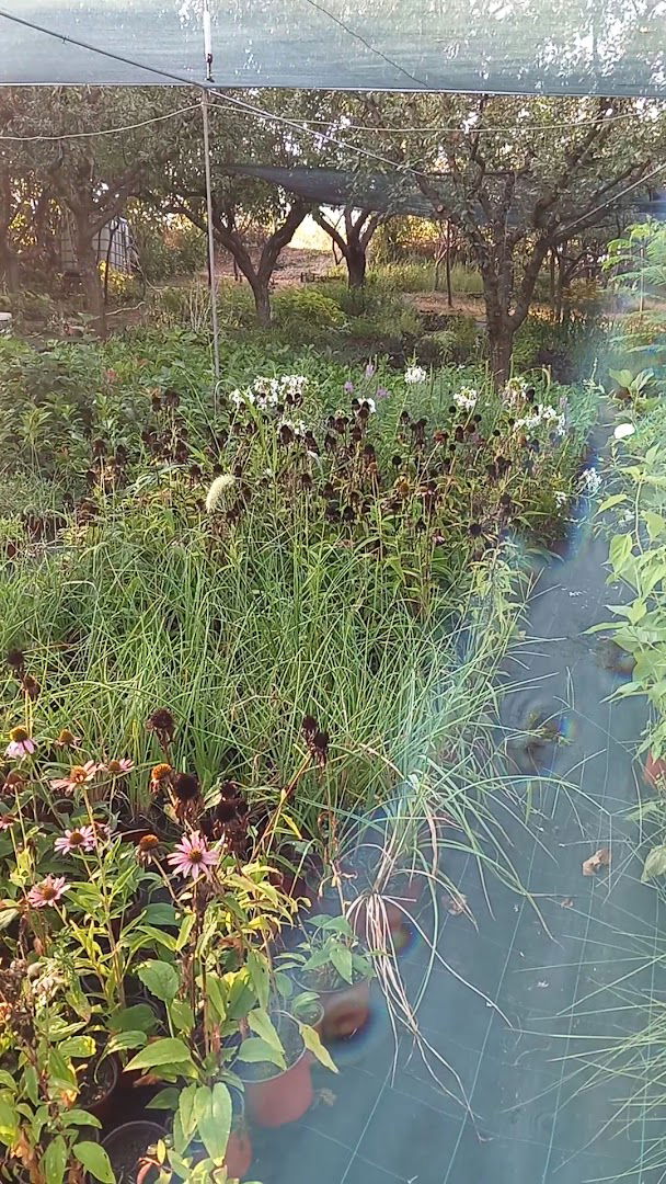 Rasadnik Vukadinovic