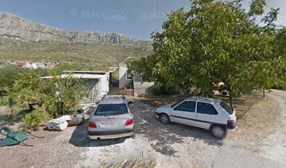 BRAZILSKI JIU JITSU KLUB IGUANA