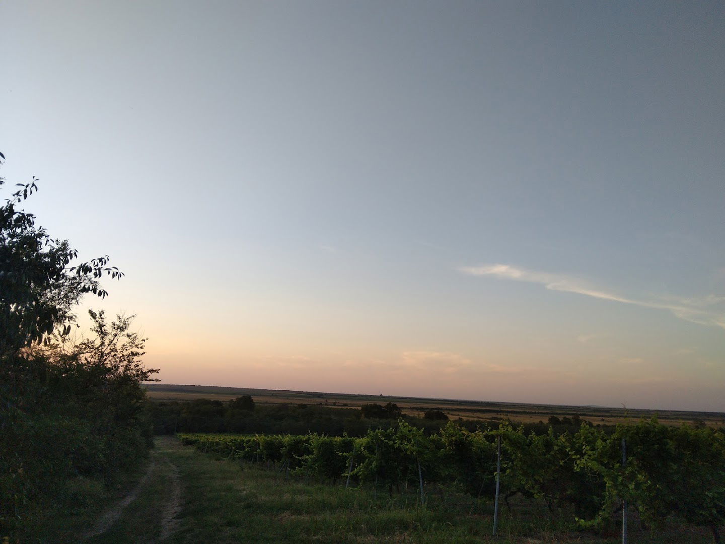 Nature Park Mali Vrshachki Rit