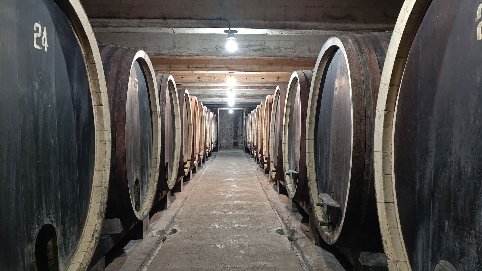 Краљев подрум