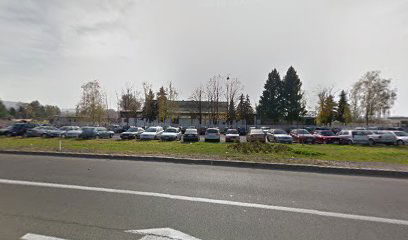 Elmont Kolubara Metal