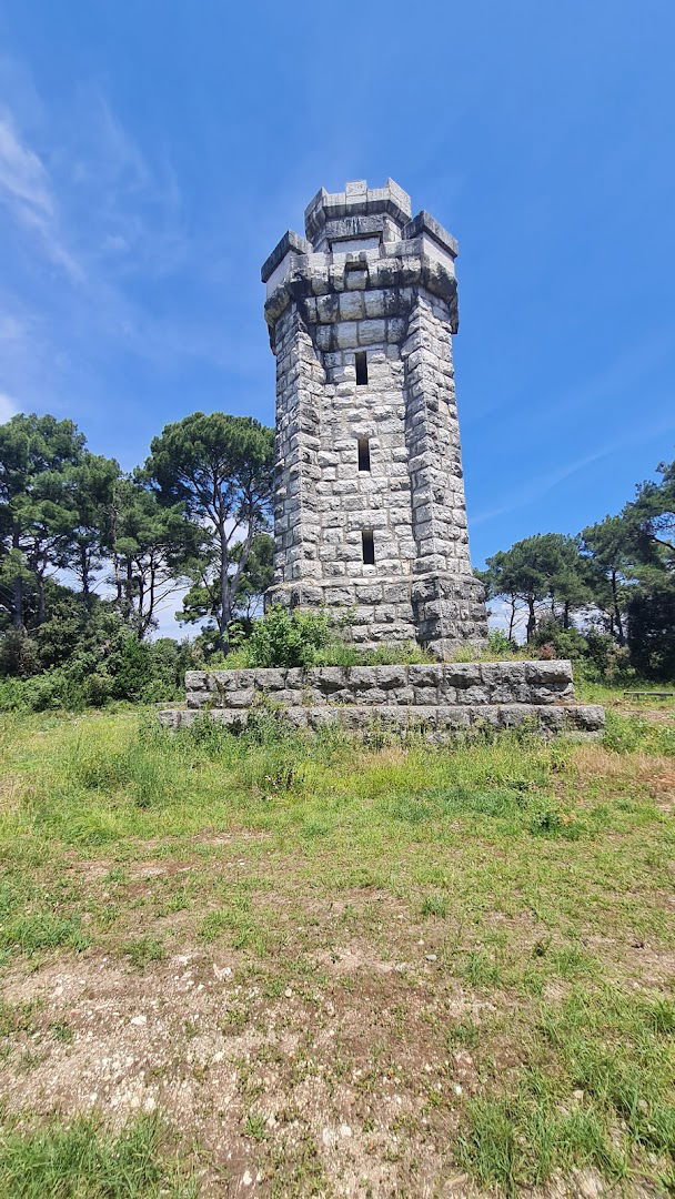 Torretta Lueger (1908)