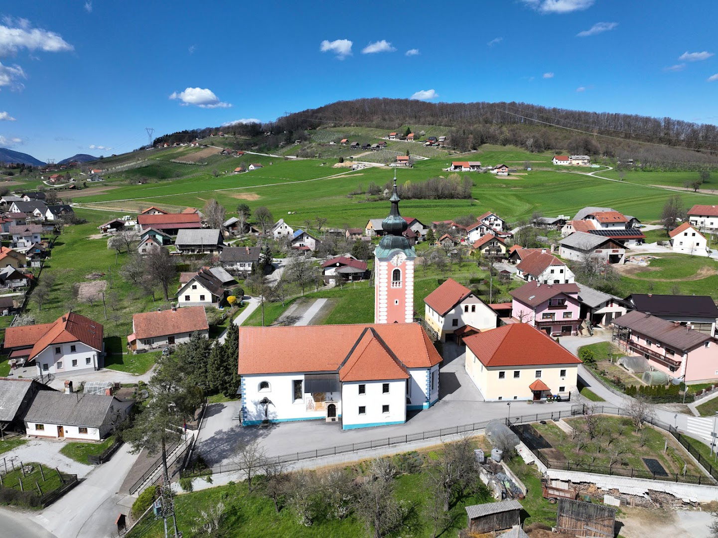 Župnijska cerkev sv. Petra, Žiče