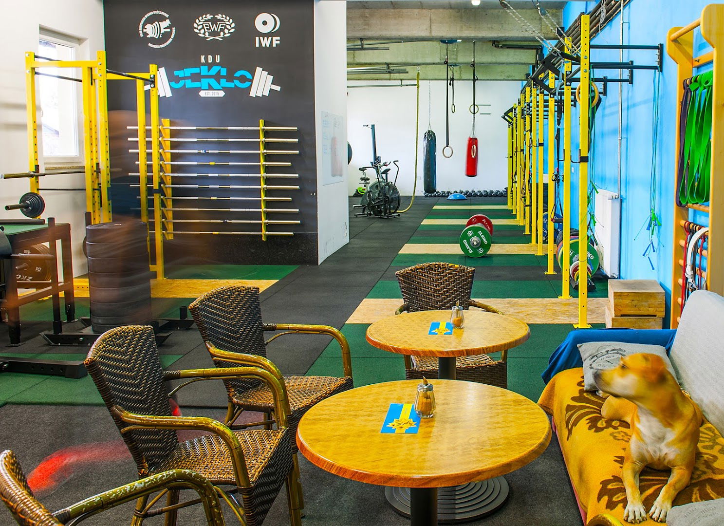 MYGYM / KDU JEKLO