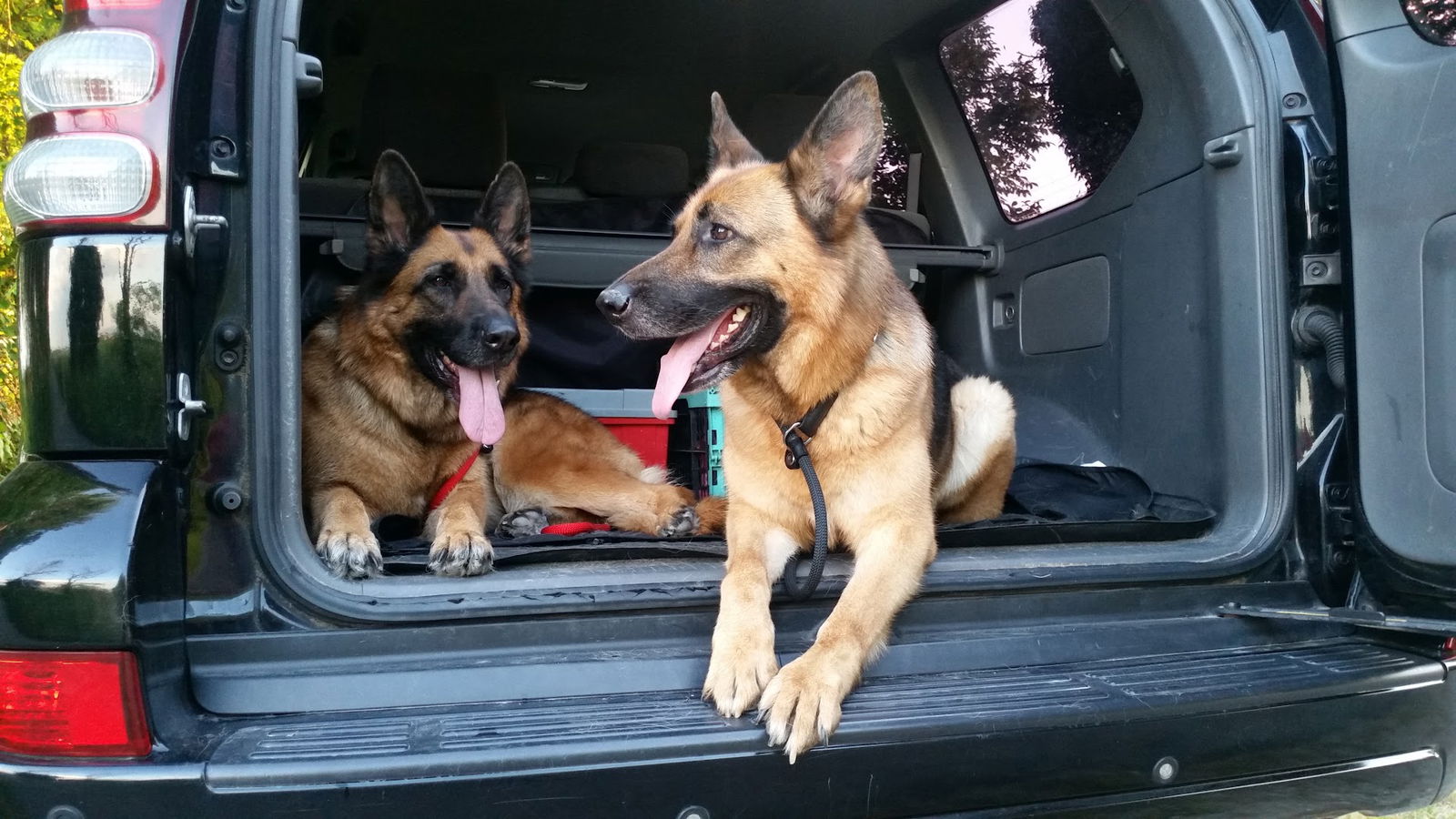 Allevamento Della Zattera