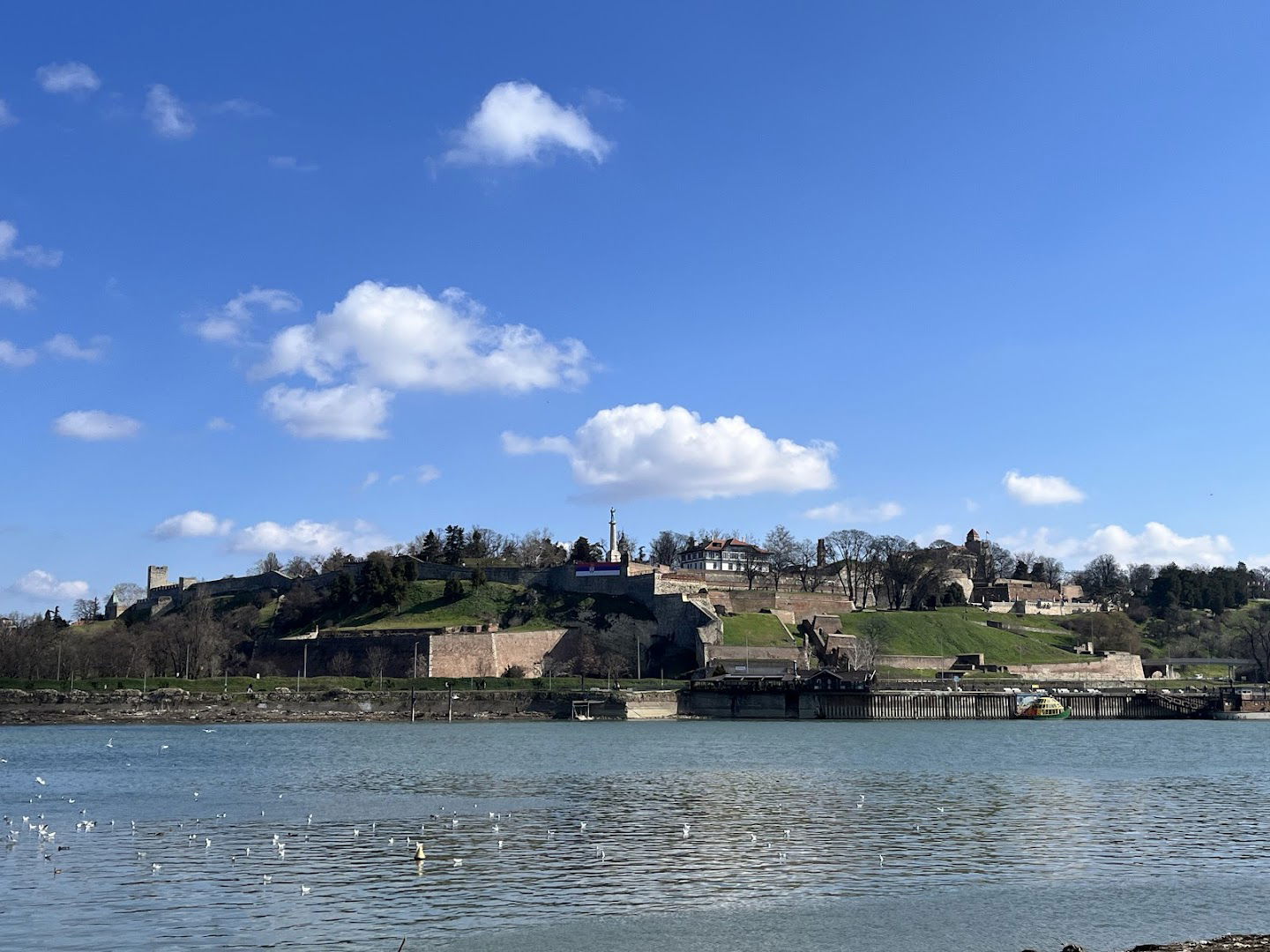 Парк Ушће (Birding place)