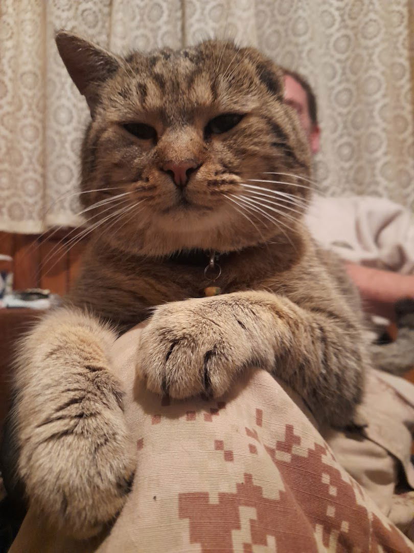 Veterinarska ambulanta Lučko