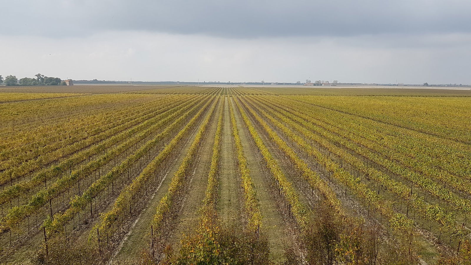 Tenuta Revedoli Società Semplice Agricola