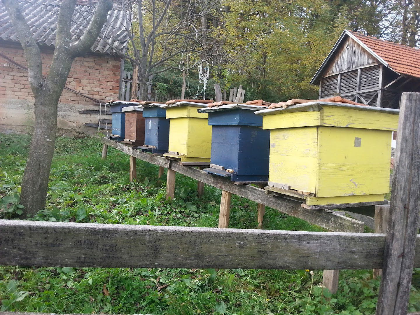 Mile Simić - Pčelinjak