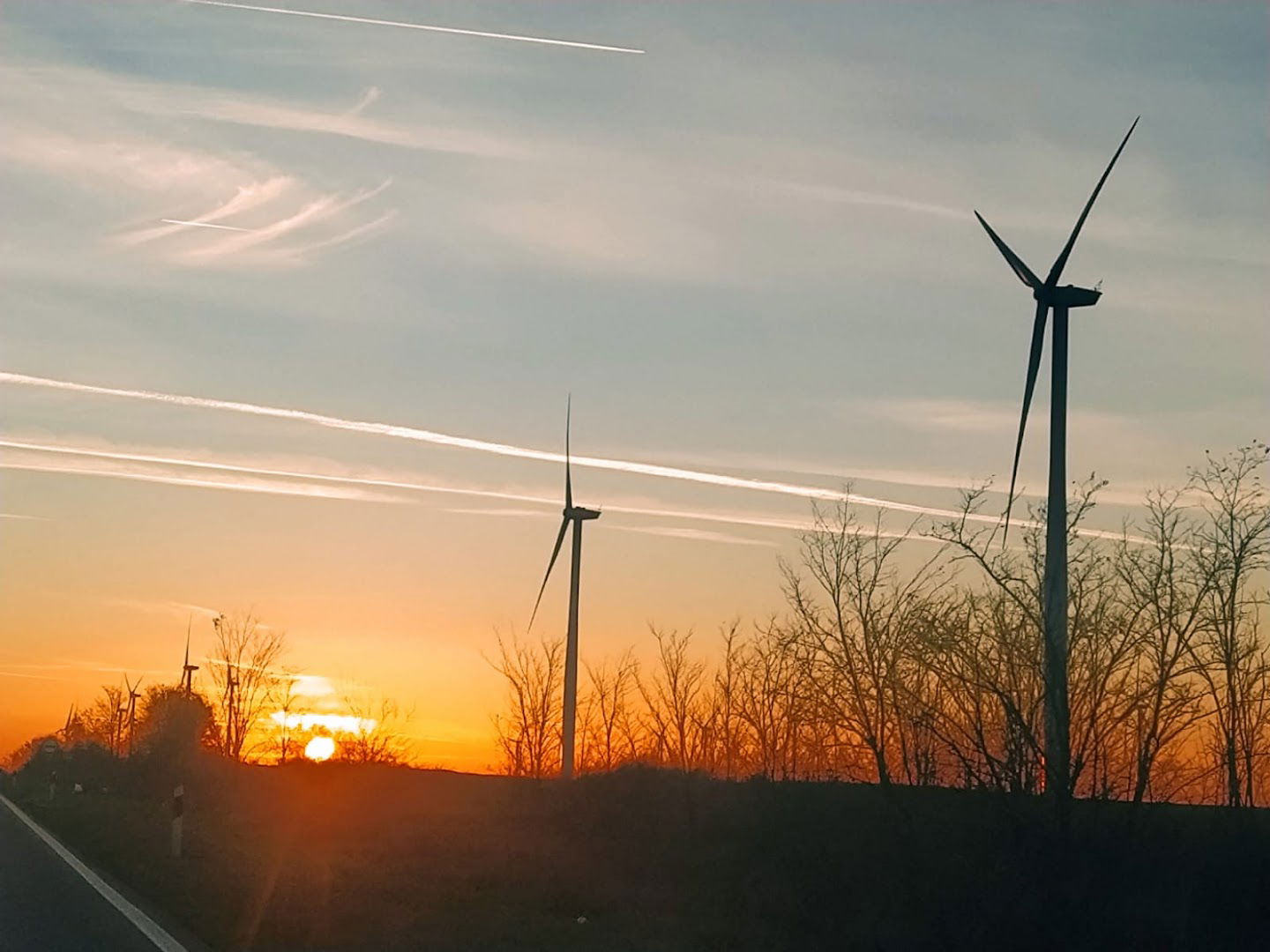 Delta Agrar, Farma Vladimirovac