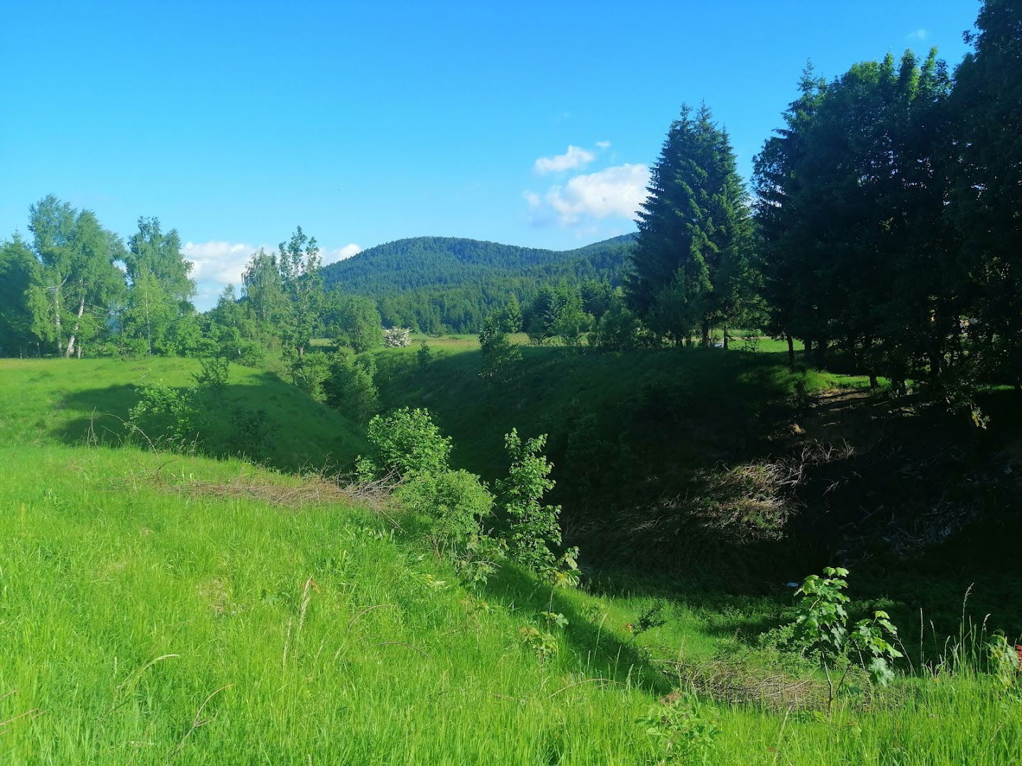 Plodovi gorja Gorskog kotara