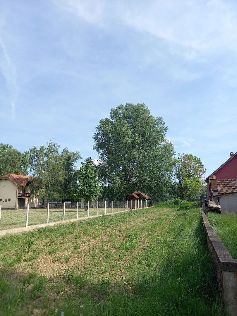 Provo ,,Miskov plac,,