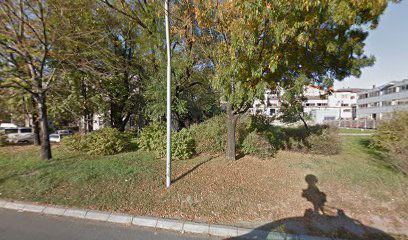 Аутокоманда долазни