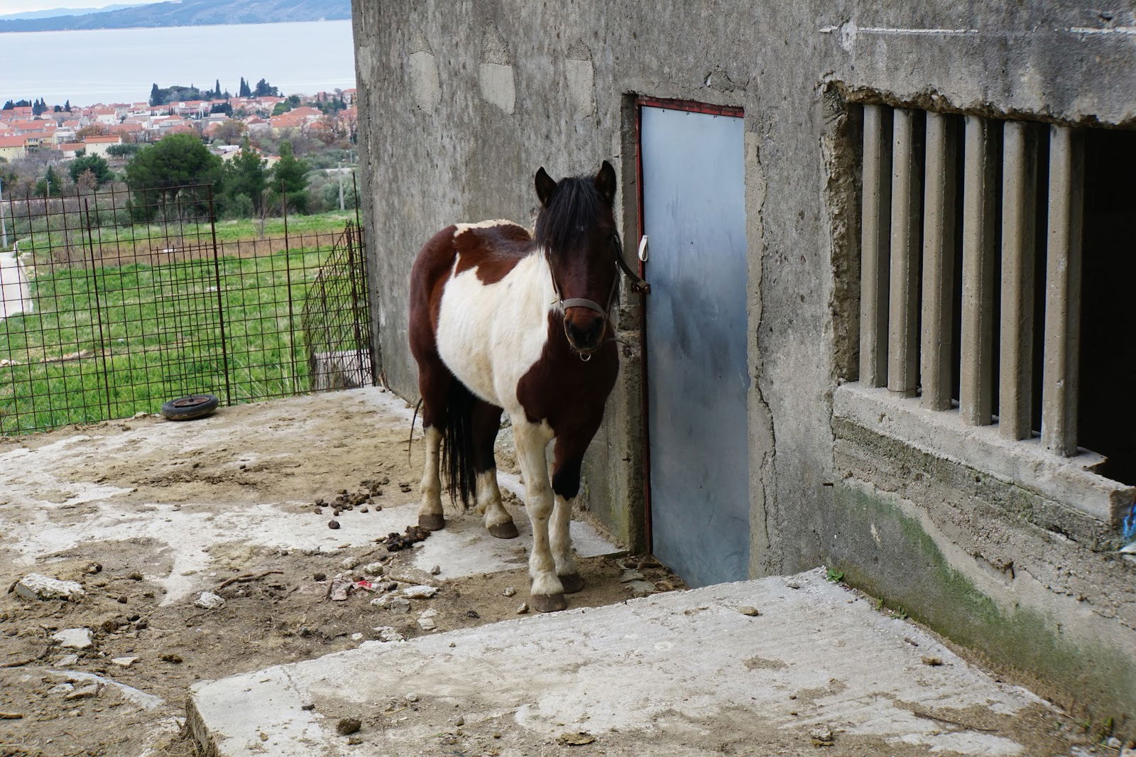 Staza života Kaštela - Central Dalmatia Croatia - Theme Trails