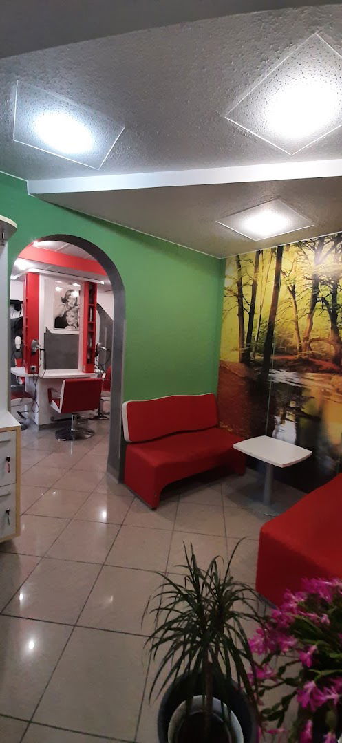 Kern Saša s.p. ženski frizerski salon "Saša"