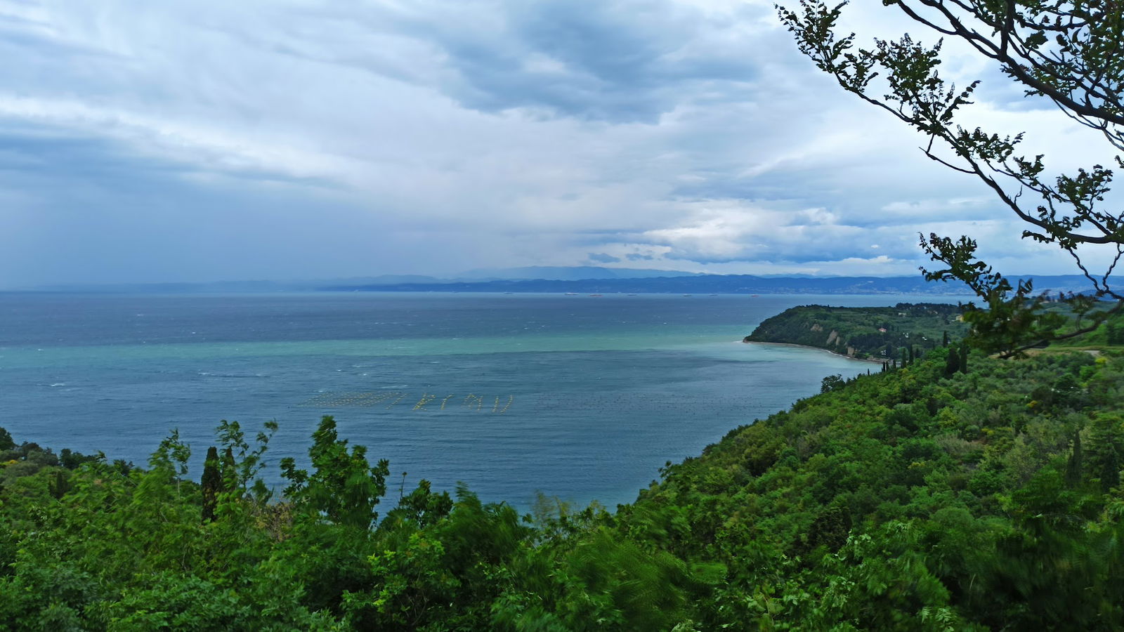 Turistično vodenje, Tomaž Zavrl s.p.