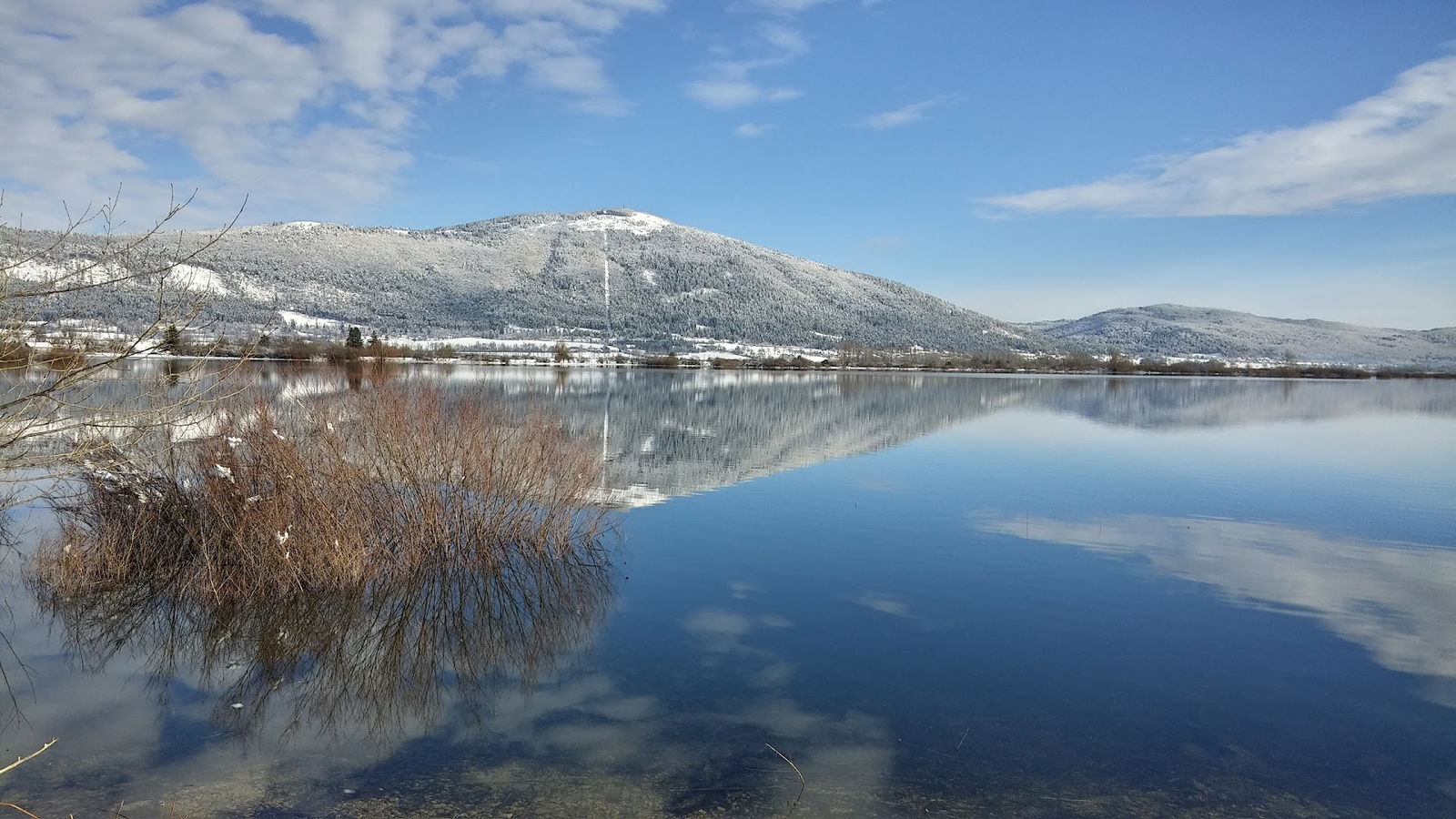 Mules podjetje za proizvodnjo in storitve d.o.o., Otok