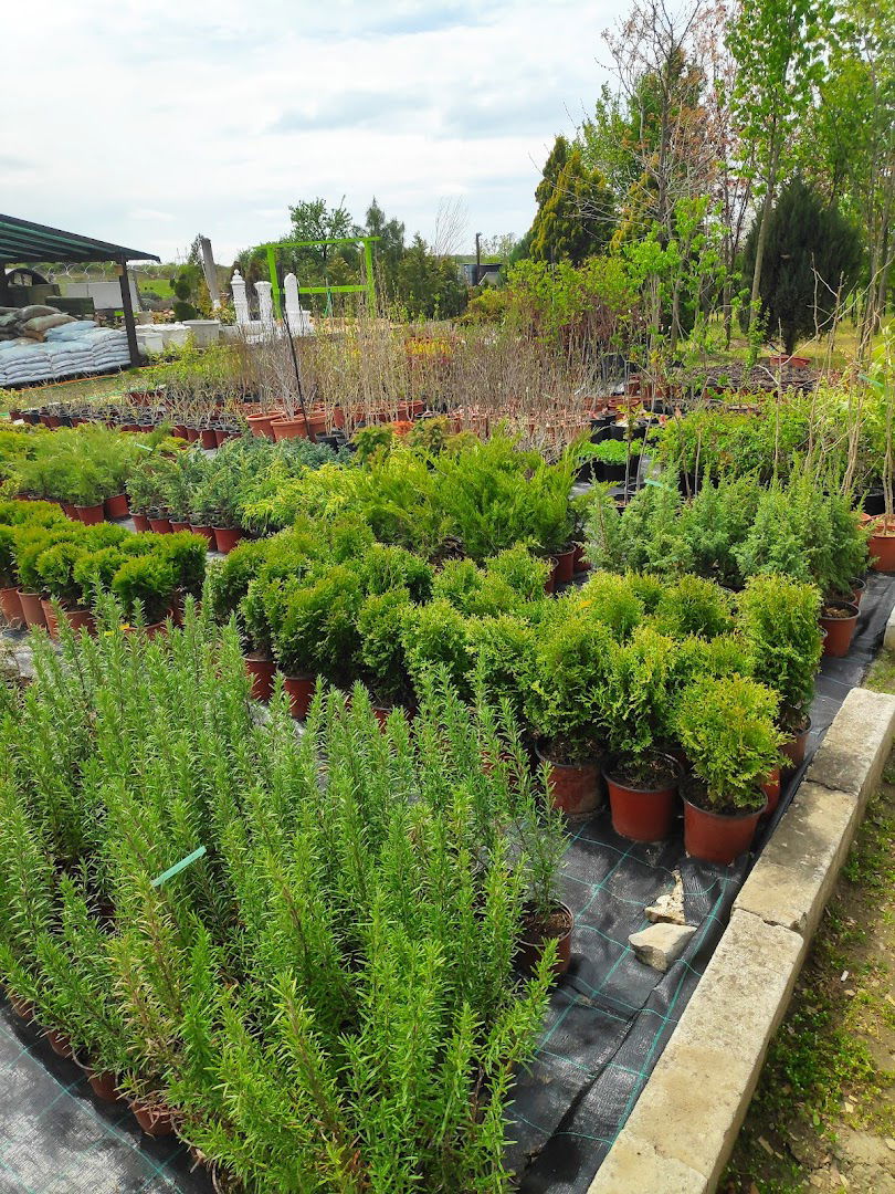 Rasadnik Vrt & bašta