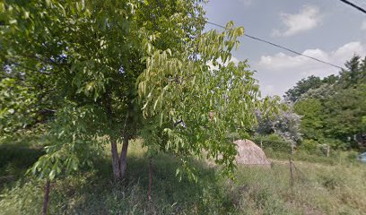 Hacijenda Vatra i ništa