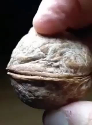 GTF-INICIJATIVA ZA ODRŽIVI RAST