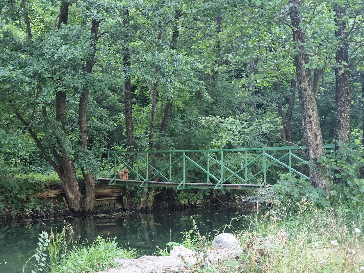 Ribiška družina Cerknica