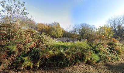 Živković Kosa cemetery