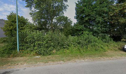 Prvi košaricu put VIII Odvojak 1