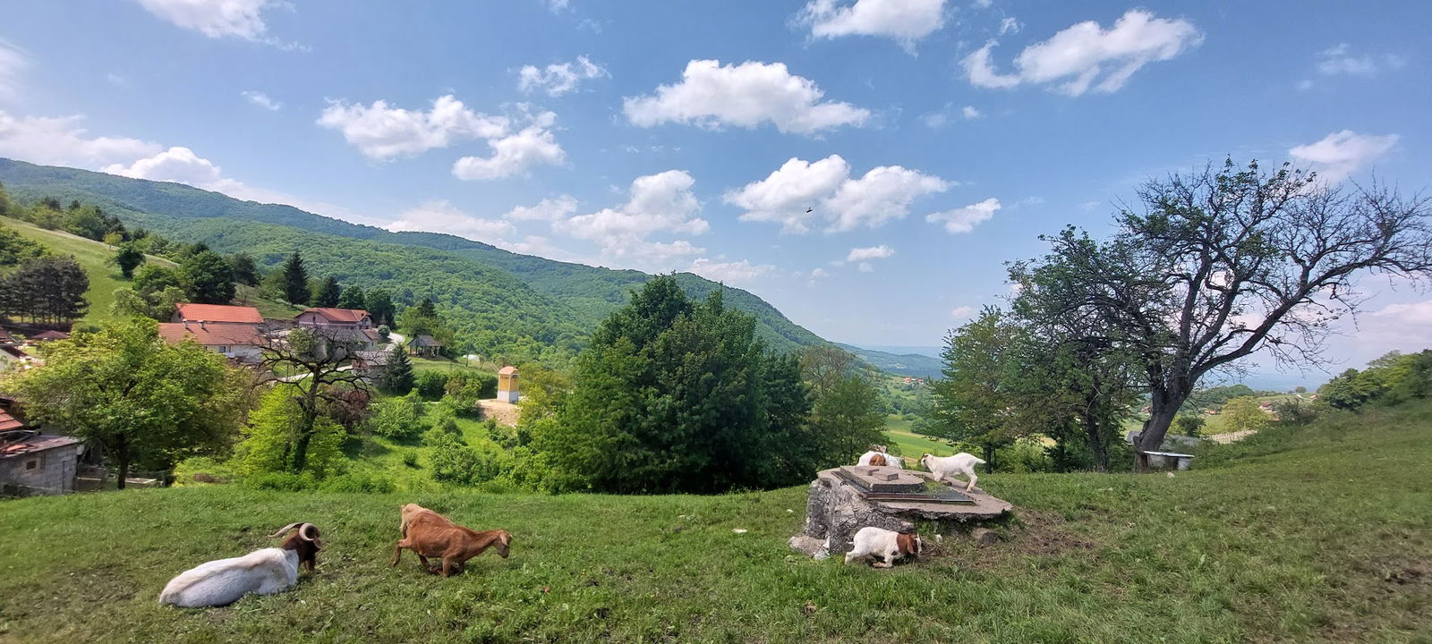 Uskoški stražni stolp