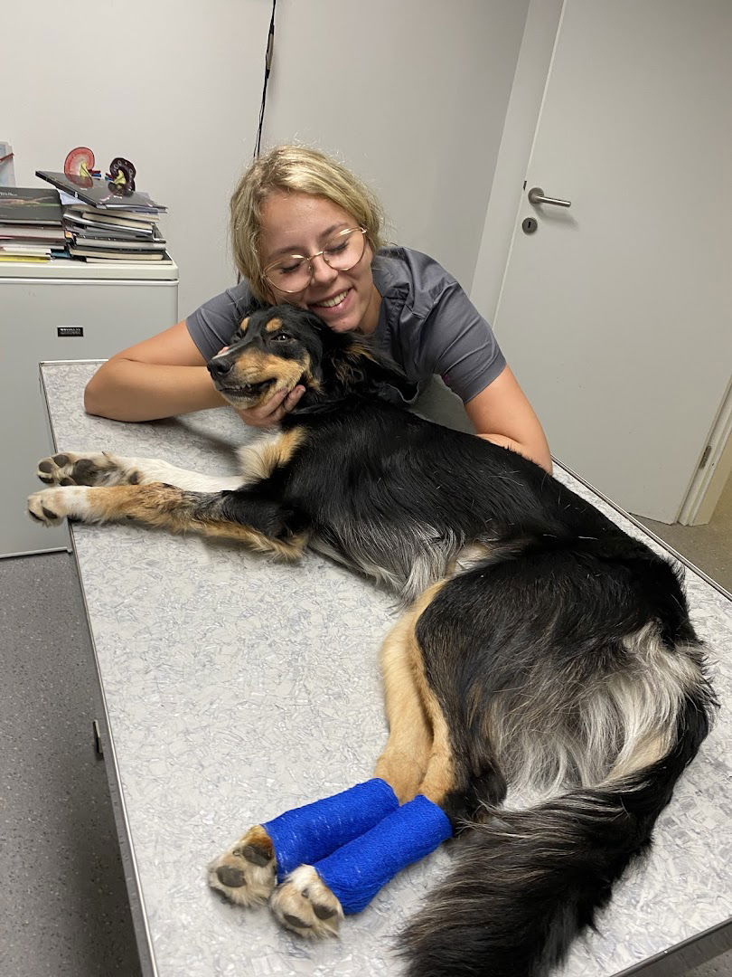 VET VISION Specijalistička veterinarska praksa