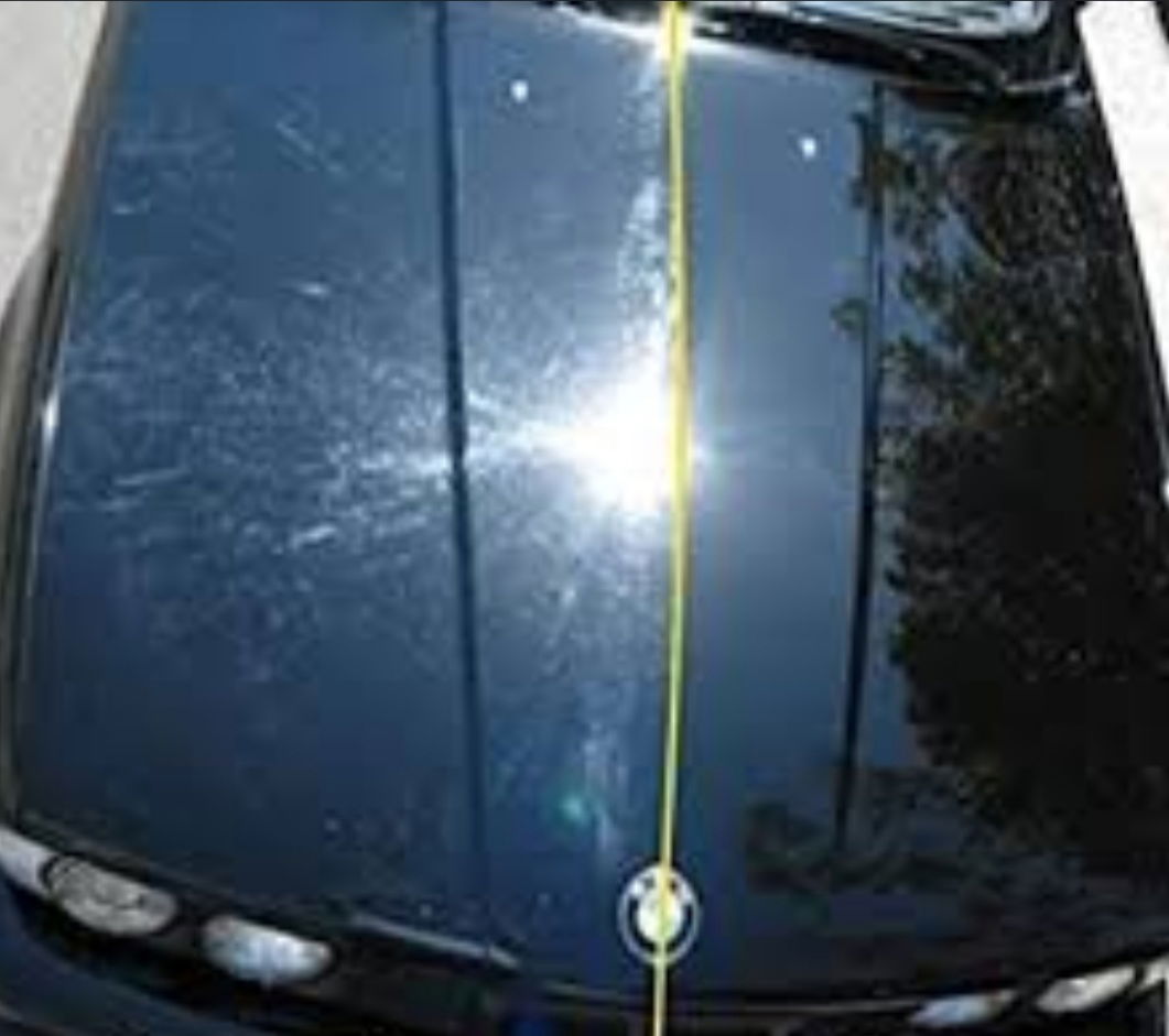 Dubinsko pranje i poliranje Mossa i Micko