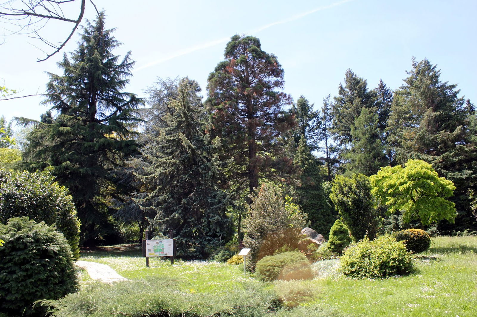 Arboretum šumarskog fakulteta