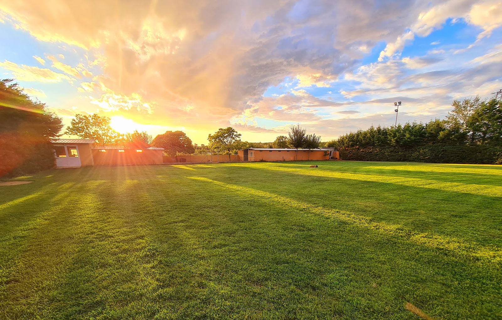 Running Wild - Škola, hotel i uzgoj pasa