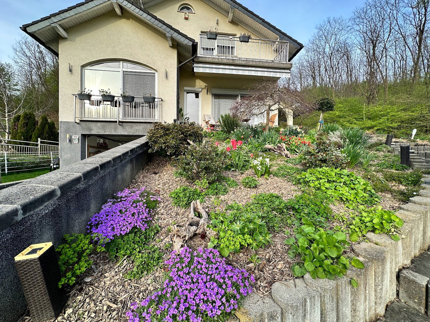 Brezovec Zelinski 2i