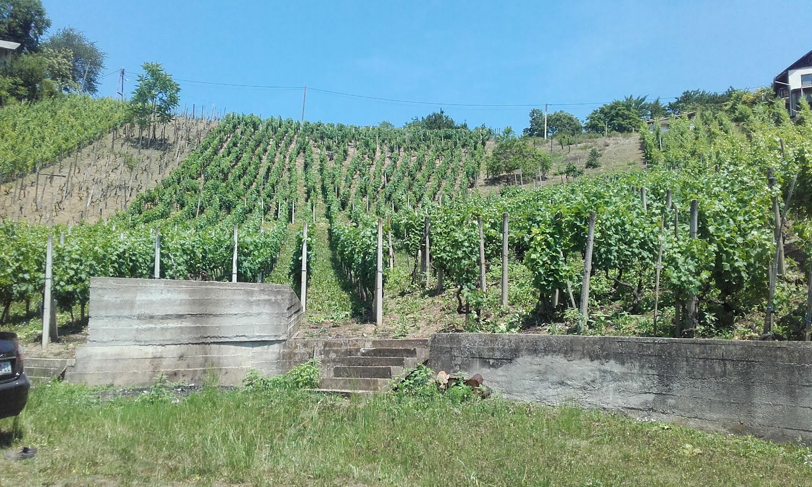 FRIZERSKI SALON MIRJANA