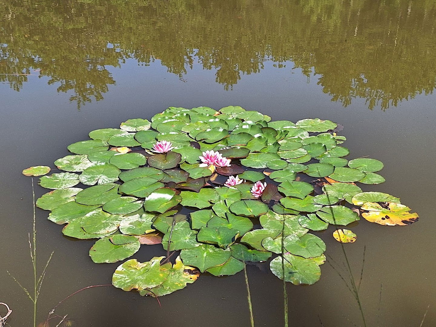 Jezero Galantiči