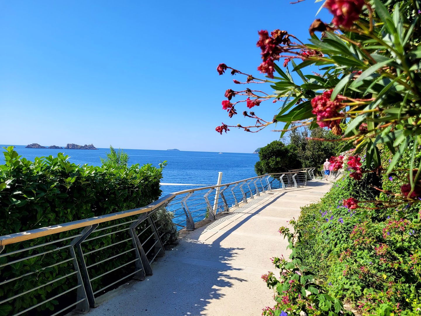 Lungo Mare ~ Uvala Lapad