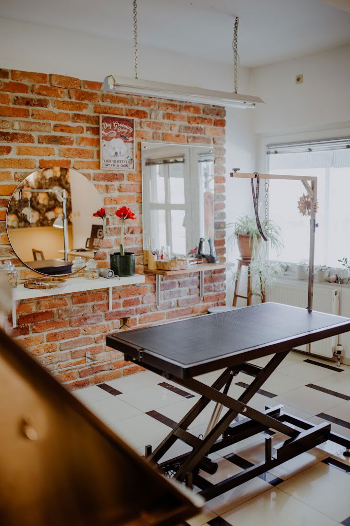 LEPI PESI dog grooming salon