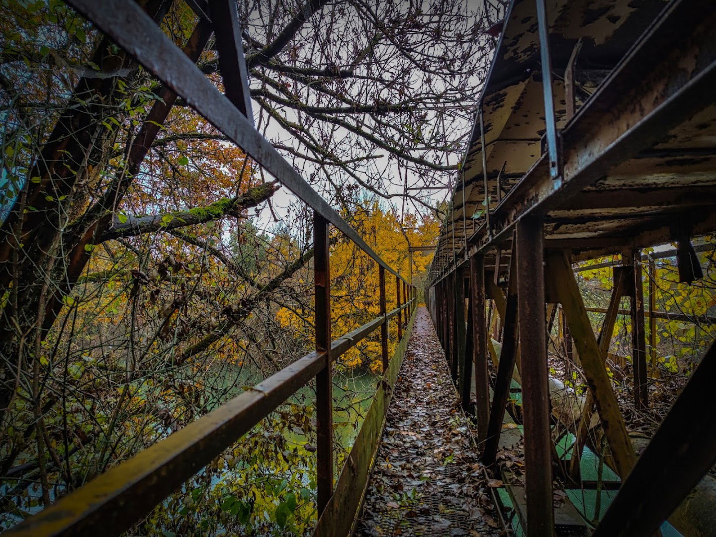 Brv čez Ljubljanico