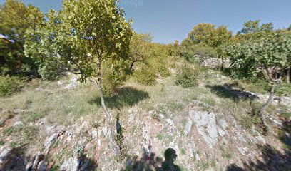 opg trešnja vlasnik Igor i Ružica Uremović