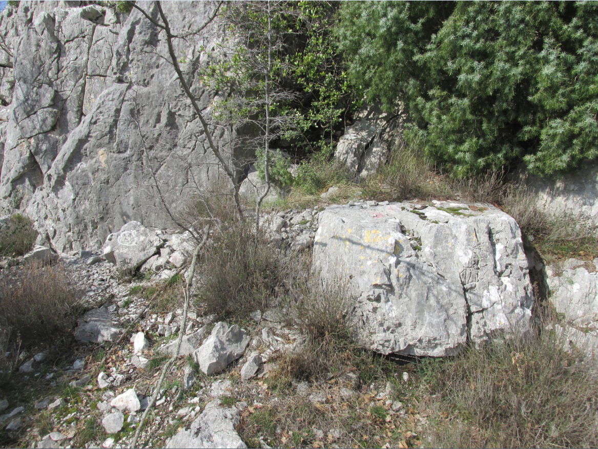 Illyrian Daorsi emporio (city)