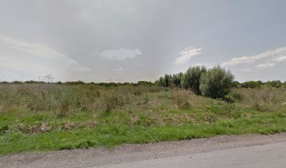 Dragomira Momčilovića